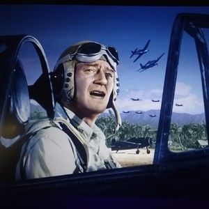 Meet your Posher, Donald